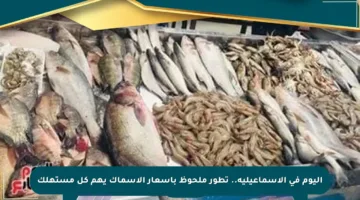 اليوم في الإسماعيلية.. تطور ملحوظ بأسعار الأسماك يهم كل مستهلك